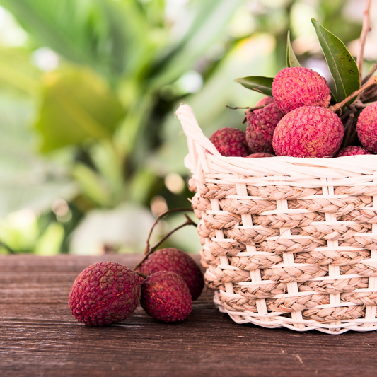 Lush Lychee | Eden Sparkling Lychee Type