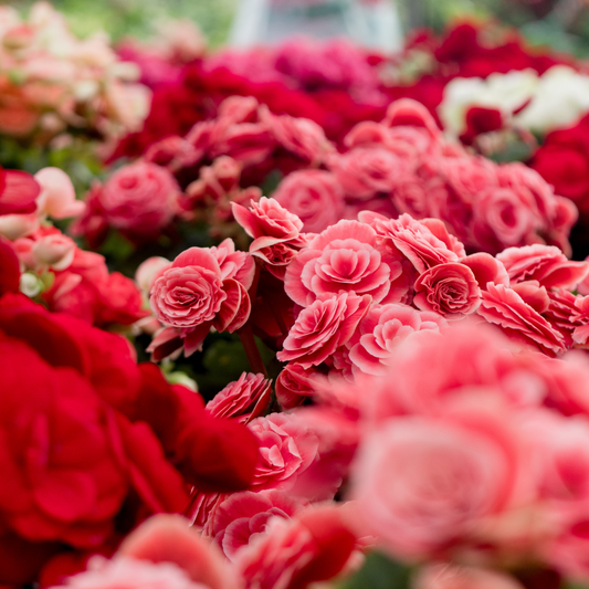 Flower Shoppe image 0