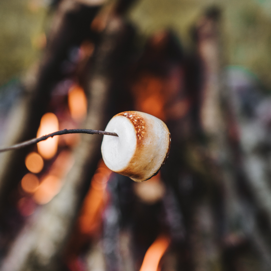 Toasted Marshmallow | Marshmallow Fireside Type image 0