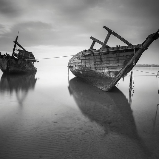 Ancient Mariner | Lucky Albatross by 1617 image 0