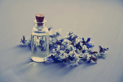 Pretty Poison | Spicy Situation by 1617 image 0