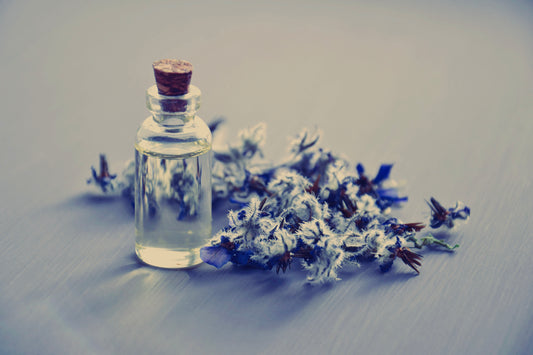 Pretty Poison | Spicy Situation by 1617 image 0