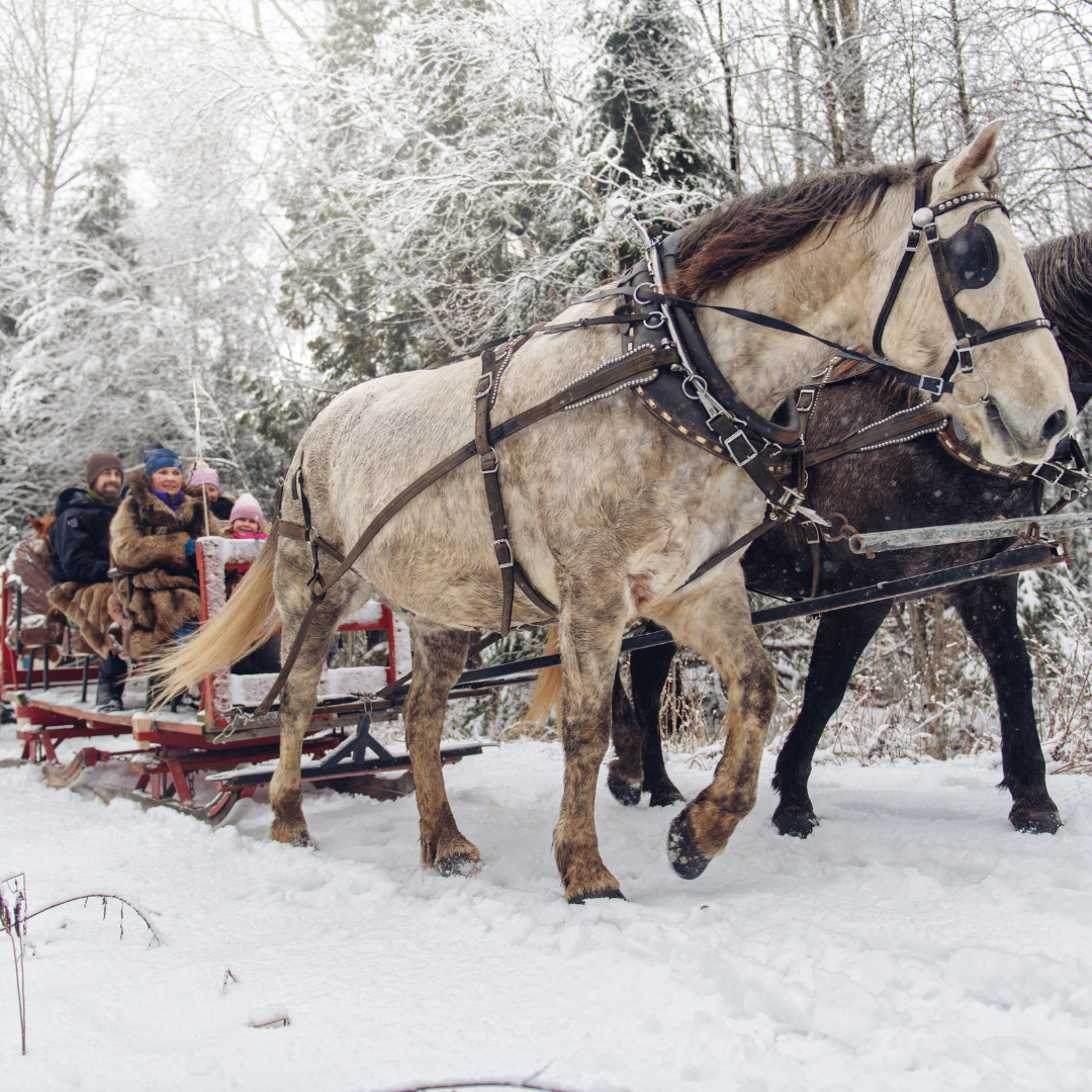 Sleigh Ride image 0