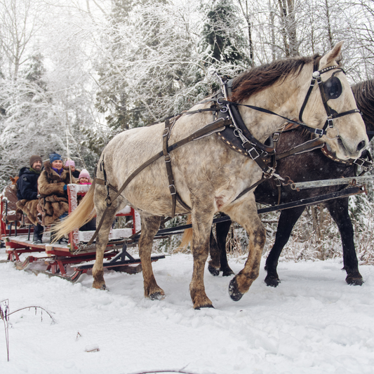 Sleigh Ride image 0