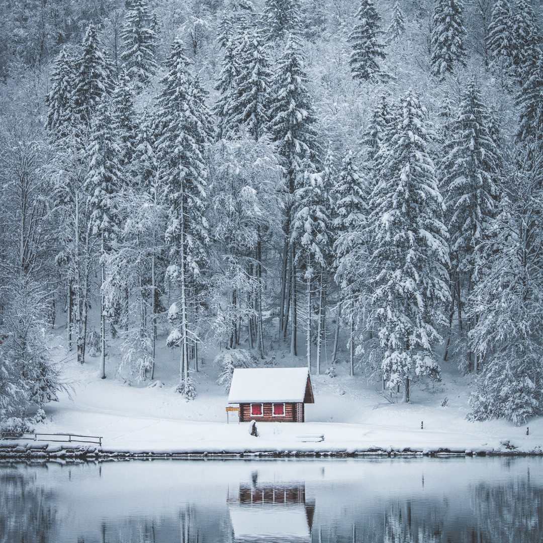 Winter Wonderland image 0