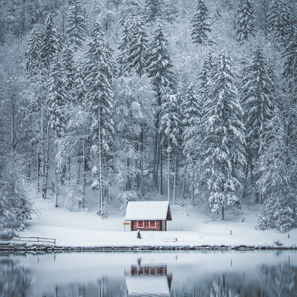 Winter Wonderland image 0