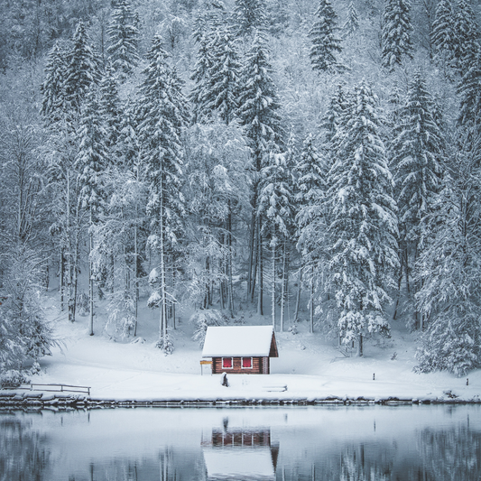 Winter Wonderland image 0