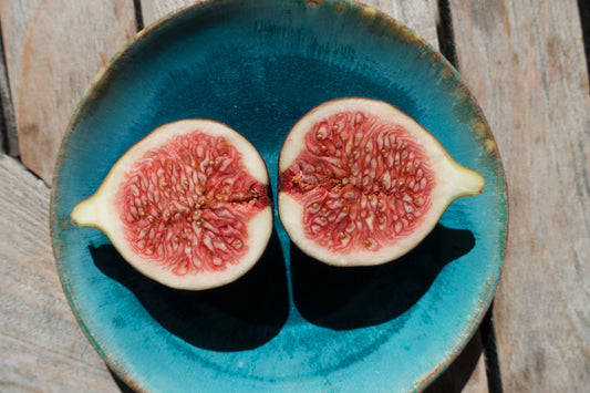 Fignilla | Festive Vanilla Fig Type image 0