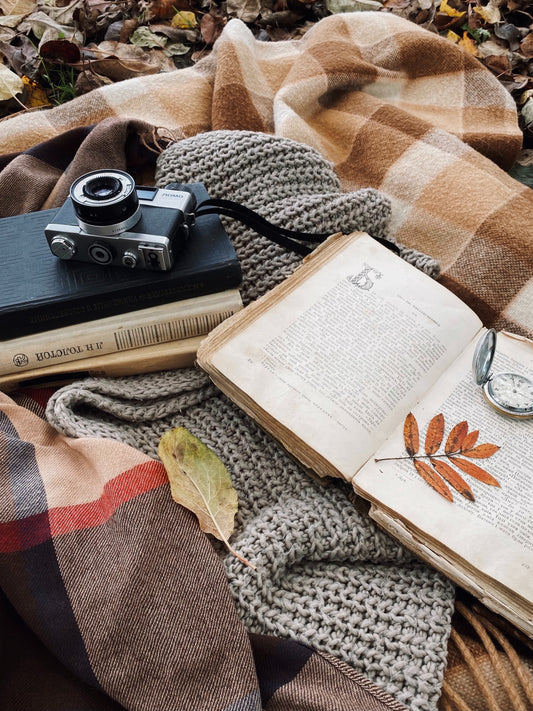 Fall Vibes | The Perfect Autumn Type image 0