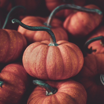 Bourbon Pumpkin Smash | Bourbon Pumpkin Type image 0