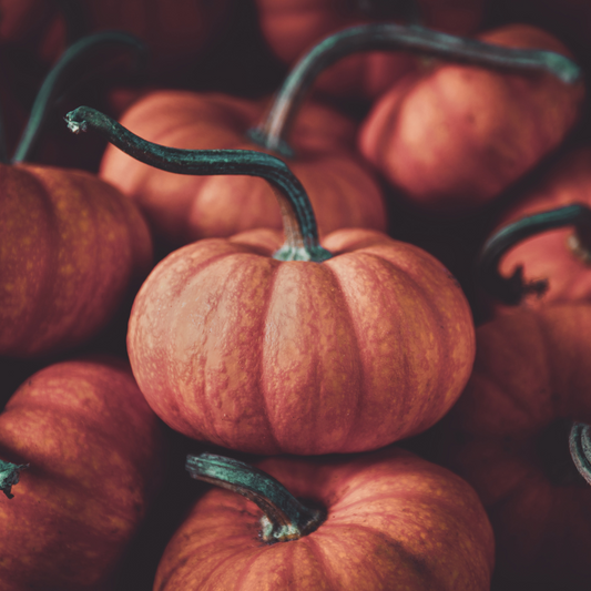 Bourbon Pumpkin Smash | Bourbon Pumpkin Type image 0