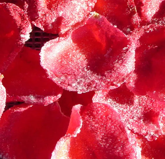 Sugared Rose Petals | Rose Petal Gelato Type image 0