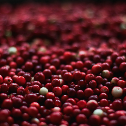 Frosted Cranberry Drops | Winter Cranberry Type image 0