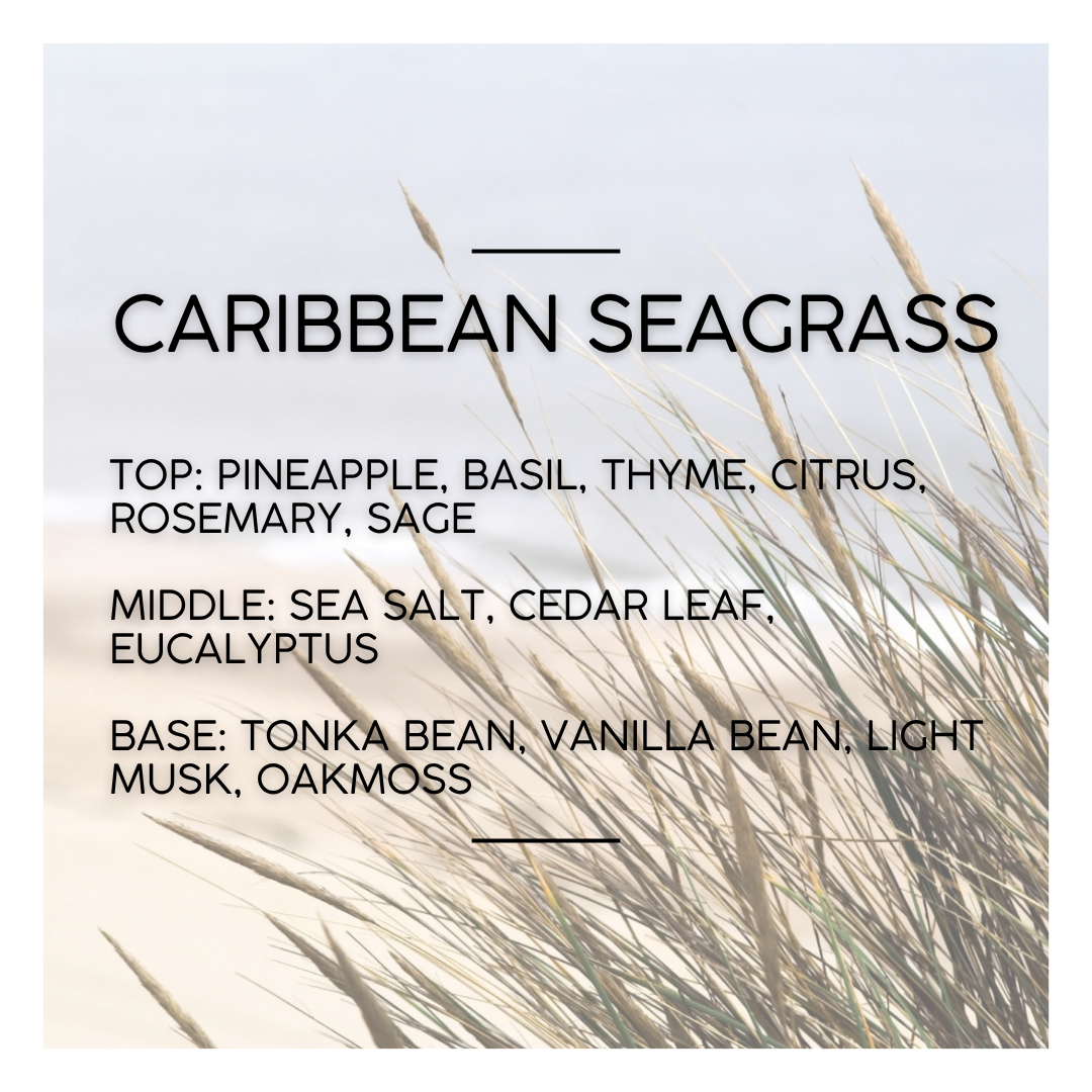 Castaway Fragrance Pack