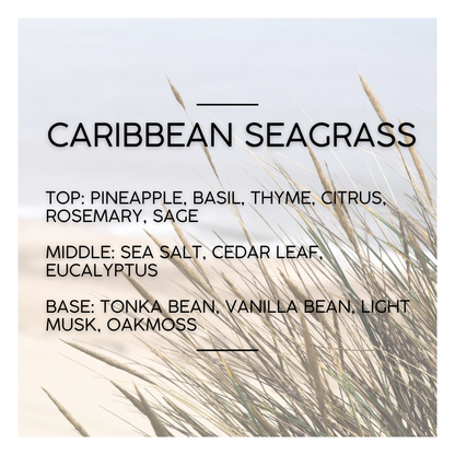 Castaway Fragrance Pack