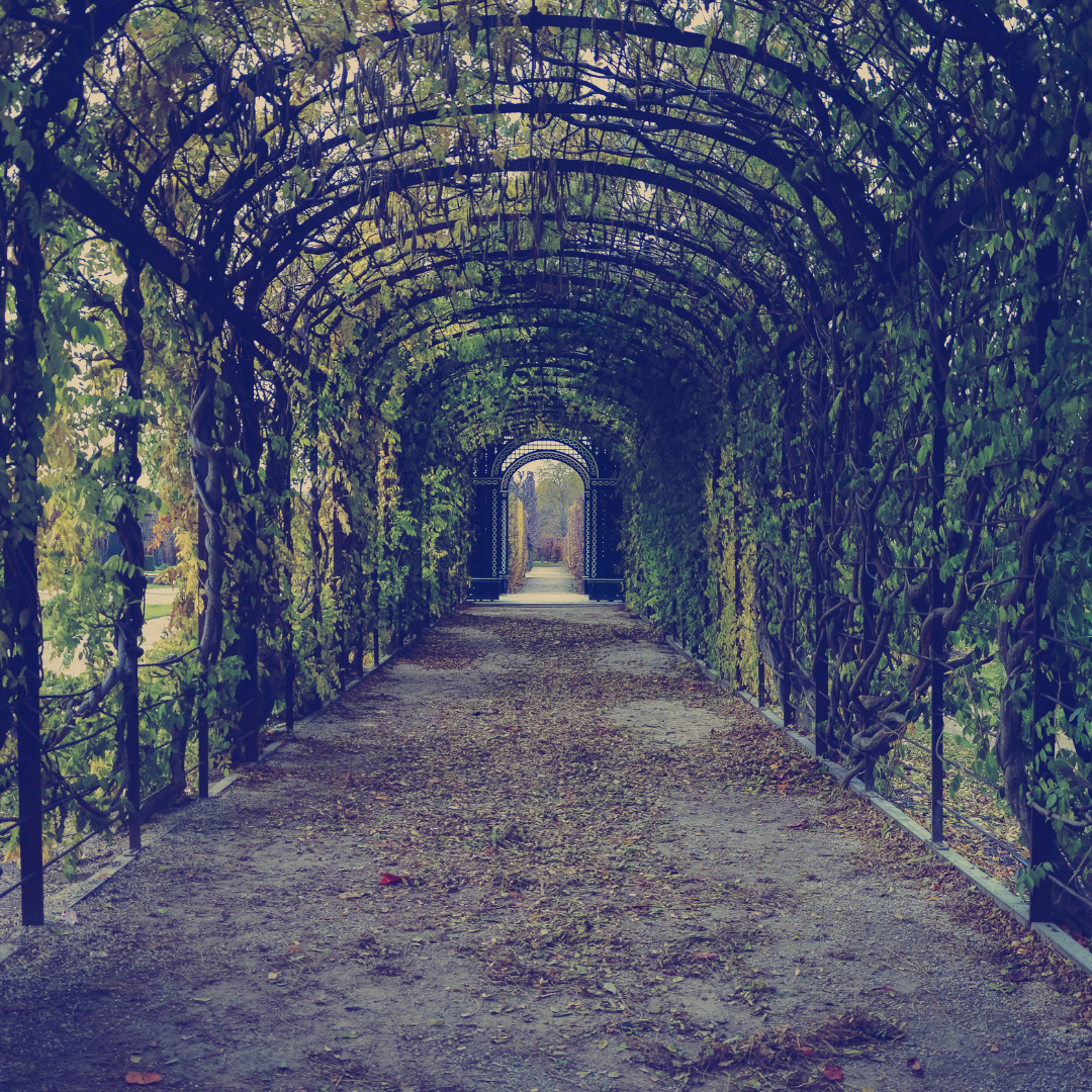 Garden at Giverny | Le Jardin