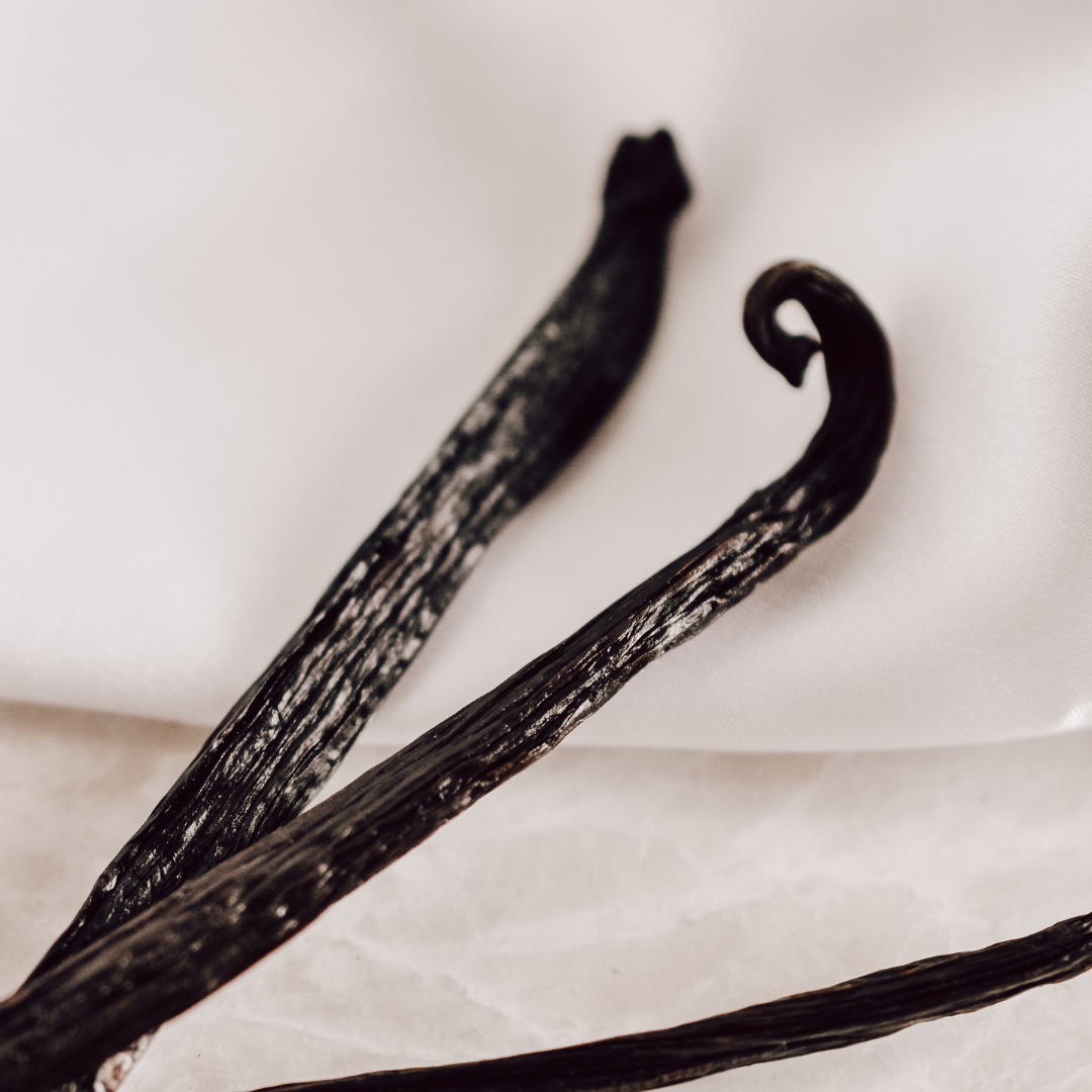 Madagascar Vanilla