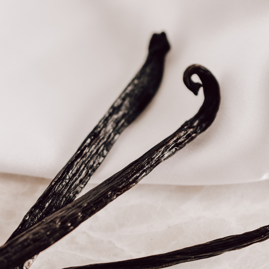 Madagascar Vanilla