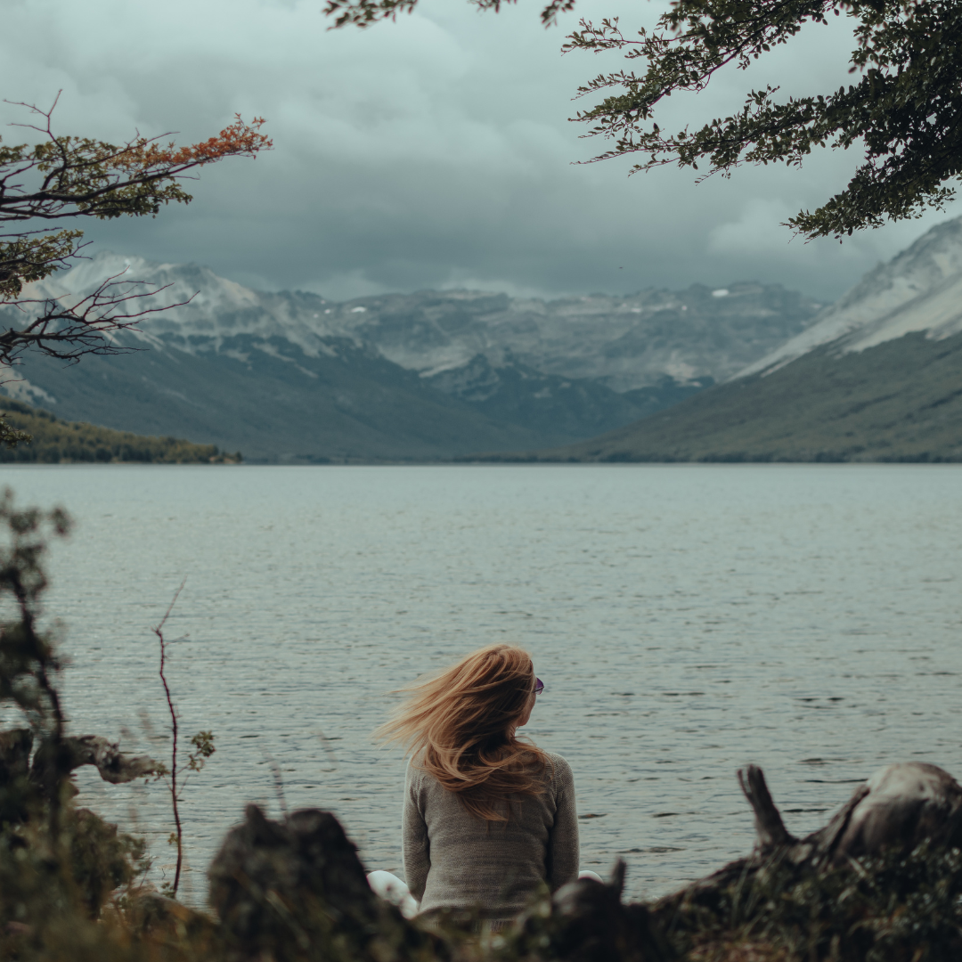 Reverie | Peppered Suede Type