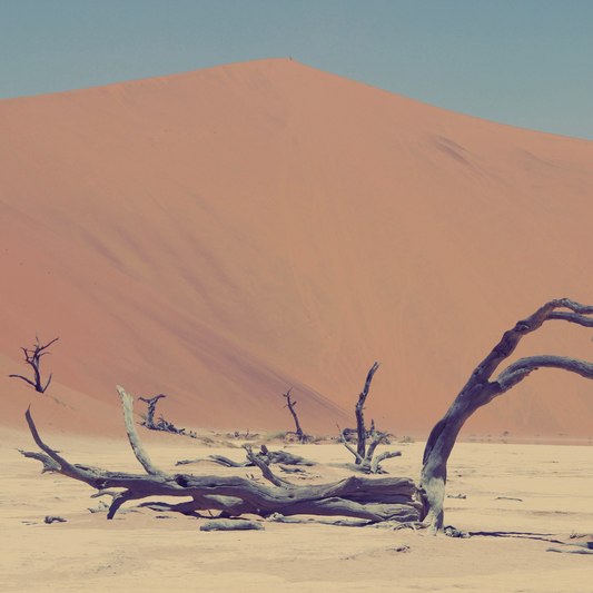 Sahara | Mojave