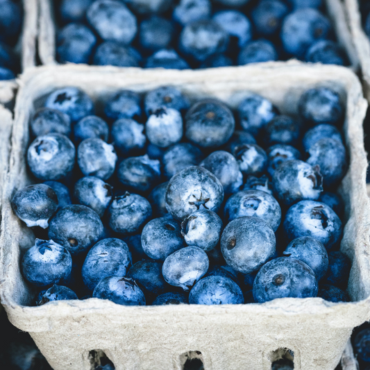 Simply Blueberry