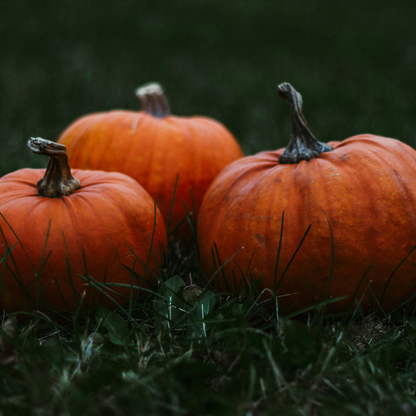 Spiced Pumpkin