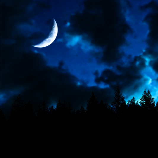 Twilight | Vampire Blood Type