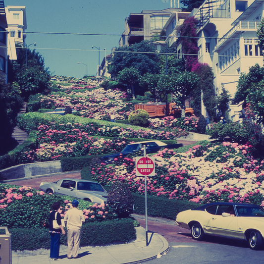 Winding Road | Lombard Street