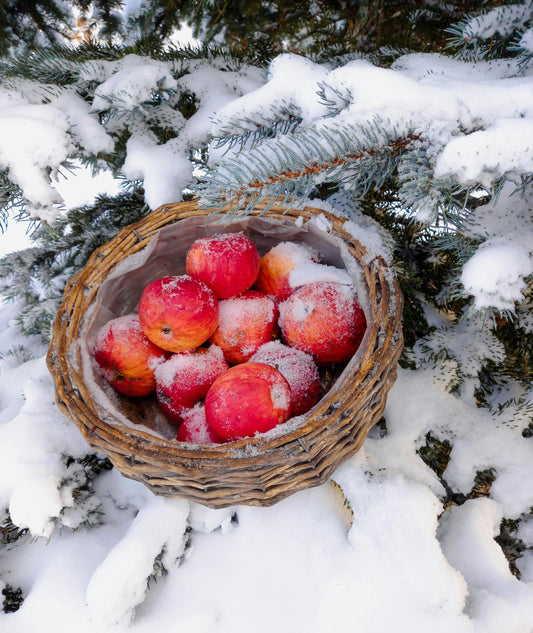 Alpine Orchard image 0