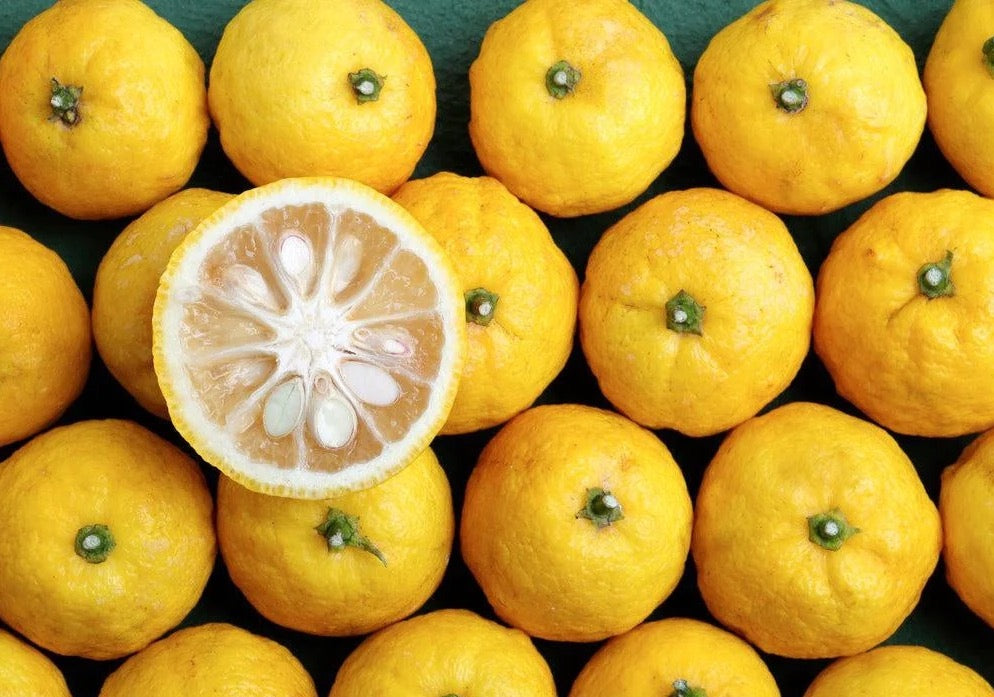 Fukushima Market | Shishi Yuzu and Sea Salt Type image 0