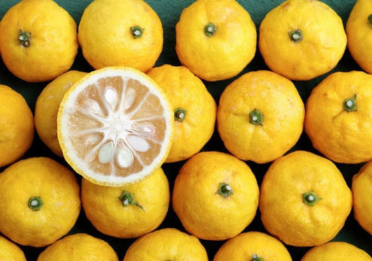 Fukushima Market | Shishi Yuzu and Sea Salt Type image 0