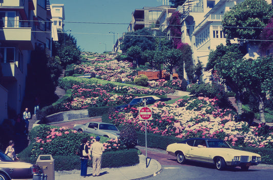 Winding Road | Lombard Street by 1617 image 0