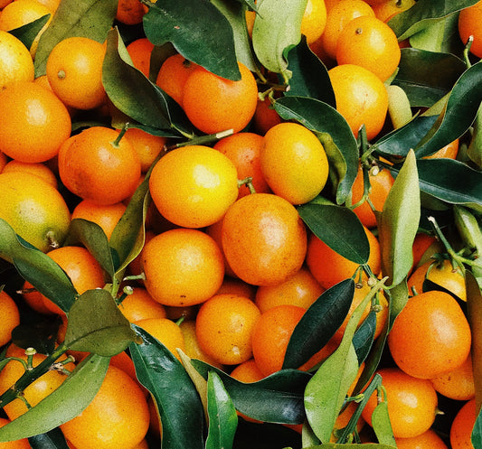 Tangerine Tango image 0