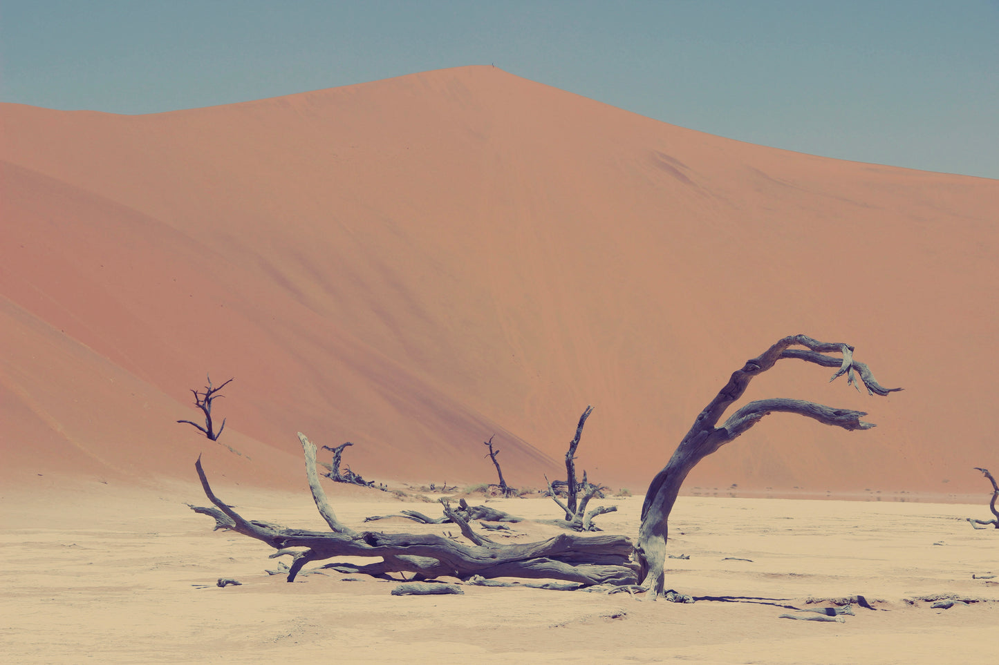 Sahara | Mojave by 1617 image 0