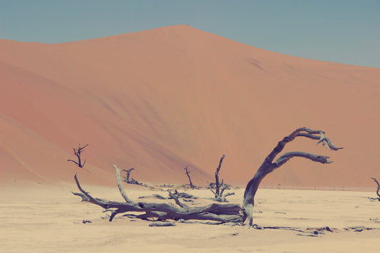 Sahara | Mojave by 1617 image 0